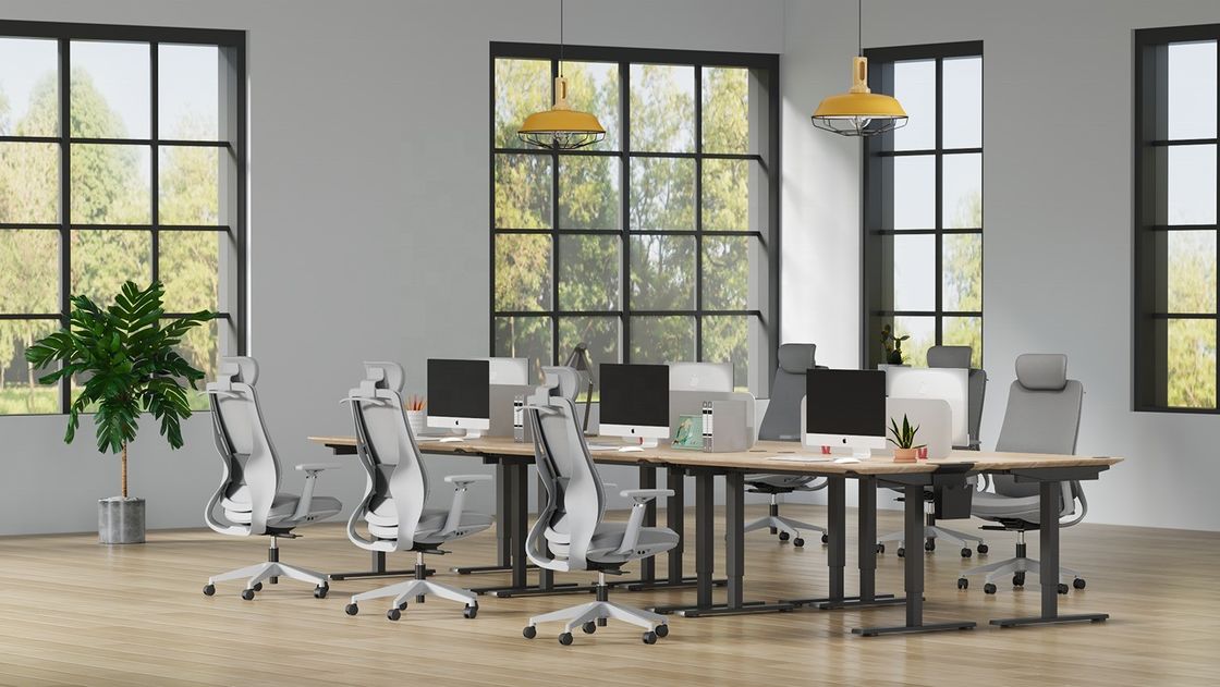 Lift Chair Modern Design High Back Swivel Office Chair voor personeel en manager in Foshan