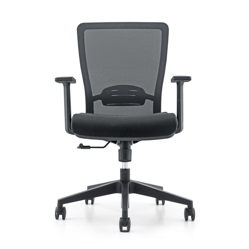Uitvoerend Mesh Draaiende kantoorstoel Meubelen 650*690*1010-1100mm voor Modern Ergonomisch