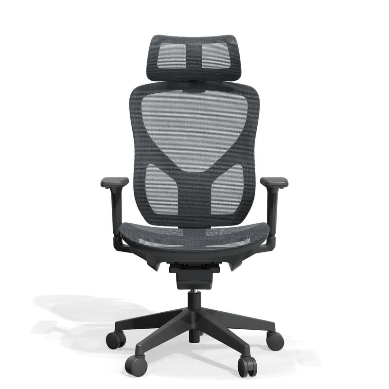 Verstelbare hoogte Full Mesh Ergonomische kantoorstoel in moderne ontwerpstijl voor Guangdong